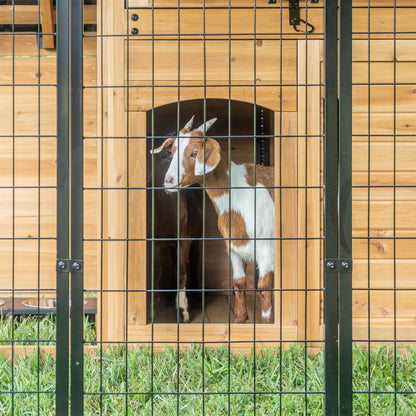 Animal Enclosure
