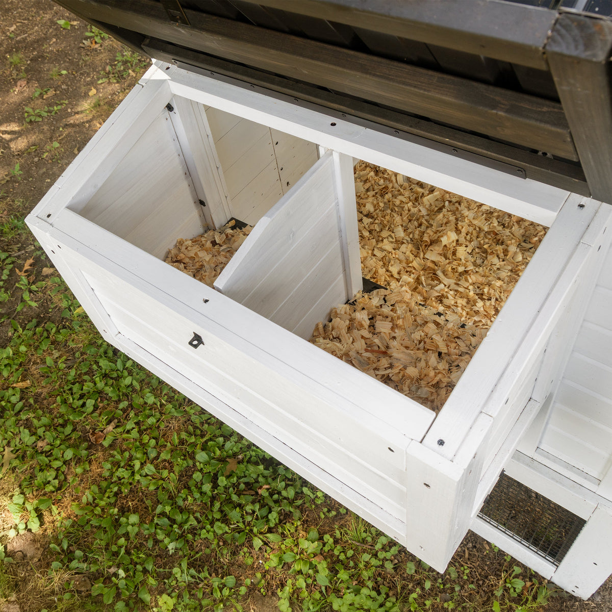 Sweetwater Chicken Coop